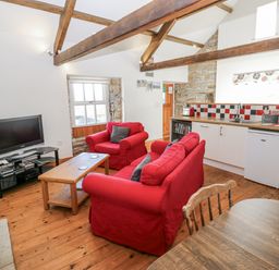 A living room with a television and red sofas at Dove Cottage in Hexham