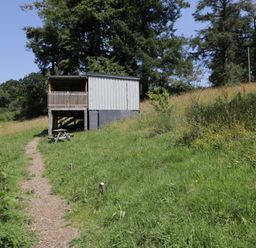 A building with a deck and a path at Robins Nest Lodge South Molton