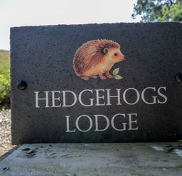 A sign for Hedgehogs Lodge with a hedgehog illustration at Hedgehogs Lodge in South Molton