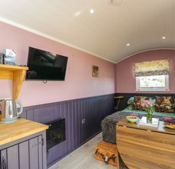 A bedroom with a bed and television at Hares Hideaway Shepherd's Hut in South Molton