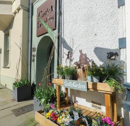 An outdoor display of flowers and plants at Castle Gardens Apartment in Beaumaris