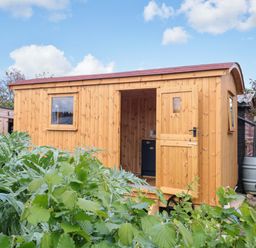 A wooden cabin with a door and window surrounded by plants at Hazel