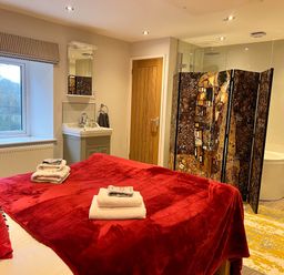 A bedroom with a bed, sink, and shower at Cottage - Sleeps 2 - Garden in Coleford
