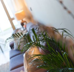 A living room with a sofa and a plant at Anchors Rest St. Ives