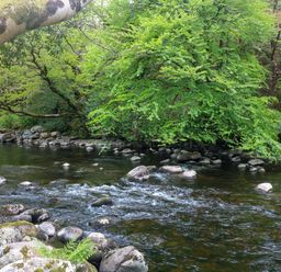 A river with rocks and greenery at The Mews @ Suskar, Laragh, County Wicklow