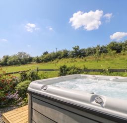 A hot tub near greenery at The Three Spaniels Shepherds Hut Cwrtnewydd near Llanybydder