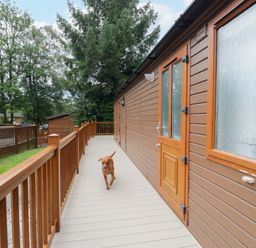 A dog on a wooden deck at Fox Red Retreat in Troutbeck Bridge