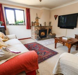 A living room with a television and a fireplace at Dunvant in Swanage