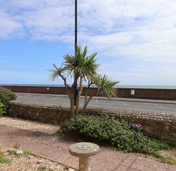 A view of palm trees and flowering plants near the seaside wall at 2 Lyme Mews Seaton