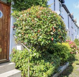A front view of a house with a wooden door and shrubs at Dart Views in Dartmouth