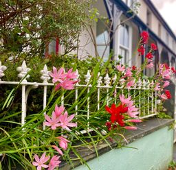 A garden with a fence and flowers at Llys Awen in Llanwnda