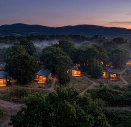 A view of illuminated cabins surrounded by trees at Arbora 2.0 (Pet) in Malvern