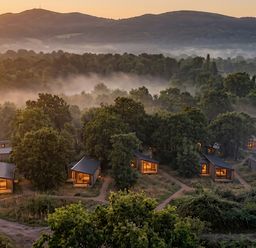 An aerial view of cabins surrounded by trees at Arbora 2.0 (Pet) in Malvern