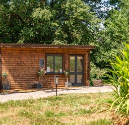 A wooden cabin with plants outside at Luxury Safari Lodge Sleeps 4/6 Deer Park Dogs Ok, Zeal Monachorum near Bow