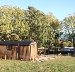 A wooden cabin surrounded by grass and trees at Owls Roost in Robin Hood’s Bay