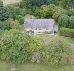 A house surrounded by trees and garden at Hedley Dene Cottage Longhorsley