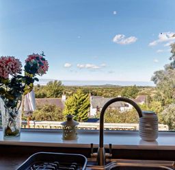 A kitchen window with flowers and sink at Cottage Sleeps 5 with Parking and Garden in Carreglefn