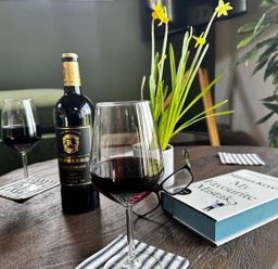 A table with wine glasses and a book in a living room
