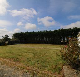 A garden with grass, a gate, and a flower bush at Wilpol in Llanerchymedd