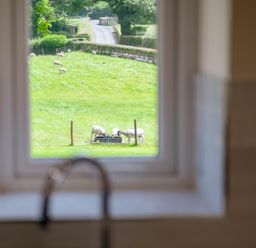 A view of sheep grazing in a field through a window in a kitchen at Bay Bungalow