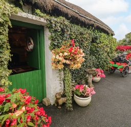 An outdoor area with a green door and planters at Teresa's Cottage