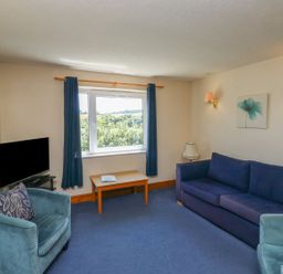 A living room with a sofa, armchair, and television at Chaffinch in Kingsteignton