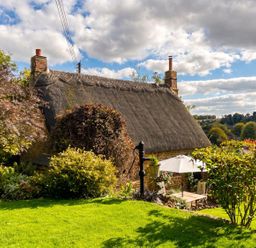 An outdoor area with a thatched roof cottage, garden furniture and plants