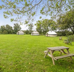 An outdoor area with yurts, a picnic table, and chairs at Yurt, Sleeps 2 with BBQ and Fire Pit, Tregooden Farm near St Tudy