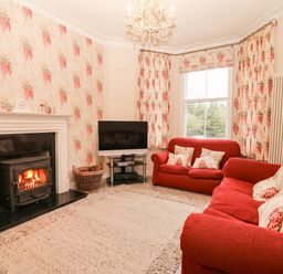 A living room with a fireplace and a television at Craig Y Glyn