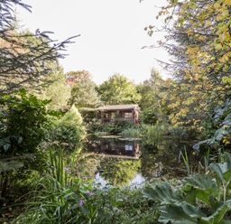 A wooden cabin by a pond surrounded by dense green trees and plants at The Log Cabin in Oban