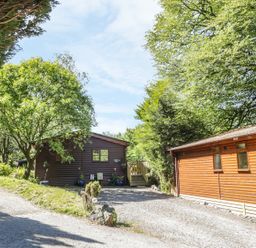 A driveway between two wooden cabins surrounded by trees at Striding Edge in White Cross Bay near Troutbeck Bridge