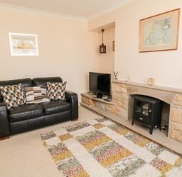 A living room with a black leather sofa cushions a TV on a stone fireplace and a patterned rug on the floor at Lyndhurst Cottage in Beadnell