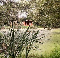 A small wooden cabin near a pond surrounded by trees and tall grasses at High Park Barn in Uffculme Blackdown Hills