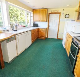 A kitchen with wooden cabinets a white door and green carpet at Morfa Isaf Cottage in Llangrannog