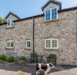 A stone house with white framed windows two green chairs and a table outside with a black and white dog at Distyll in Llanfwrog near Ruthin