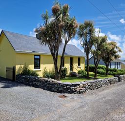 A yellow house with a stone wall and palm trees along a gravel road at Kates Cottage in Knightstown Valentia Island County Kerry