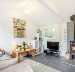 A living room with a sofa a wooden table with flowers a stove a television and shelves at The Shepherd's Hut in Aberdovey