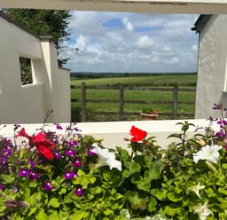 Flowers in a planter box with a wooden fence and green fields in the background at Palmers Lodge in Egloskerry near Launceston