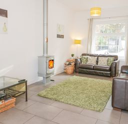 A living room with two leather sofas a green rug a wood burning stove and a TV at Mountain View in Conwy