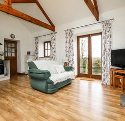A living room with a green sofa a television wooden beams and glass doors at Brocks Barn in Sweetshouse near Lostwithiel