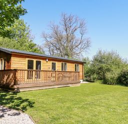 A wooden cabin with a deck on a grassy lawn surrounded by trees at Lodge One in Brighton near Summercourt