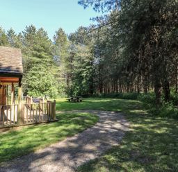 A wooden cabin with a porch and grill on a grassy area next to a gravel path surrounded by trees at Birch Lodge in Rosliston