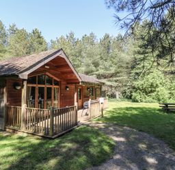 A wooden lodge with a fenced porch surrounded by trees and a picnic table on grass at Birch Lodge in Rosliston