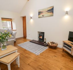A living room with a wood burning stove a grey sofa a television on a stand and a small wooden table with flowers at Ty Taid in Llanddaniel Fab near Beaumaris