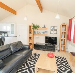 A living room with a black leather sofa a wooden coffee table with a red vase a black and white rug a flat screen television and shelving units at Orchard Lodge in Warkworth