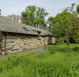A stone cottage surrounded by grass and trees at Bythyn Ddol Hafod, Capel Curig