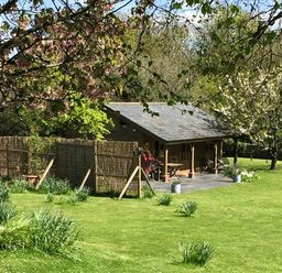 A garden with green grass and flowering trees a wooden bench and a small building with a covered porch at The Springs in Ashey near Brading and Ryde