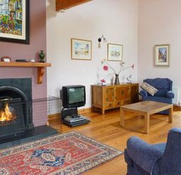 A living room with a fireplace, rug, vintage television, wooden furniture, armchairs, and paintings on walls at The Range in Enniscorthy County Wexford