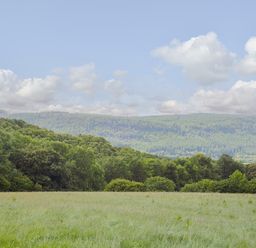 A grassy field with trees and hills in the background under a cloudy sky at Ty Nant in Betws-y-Coed