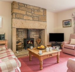 A living room with a stone fireplace a wood stove a coffee table with mugs and fruit a television and pink checked sofas at Dorothys Cottage in Alnmouth